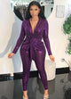 Pretty Purple Sequin Set
