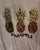 Pineapple Pretty Limited edition top