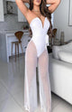 Sheer V Cut One Piece